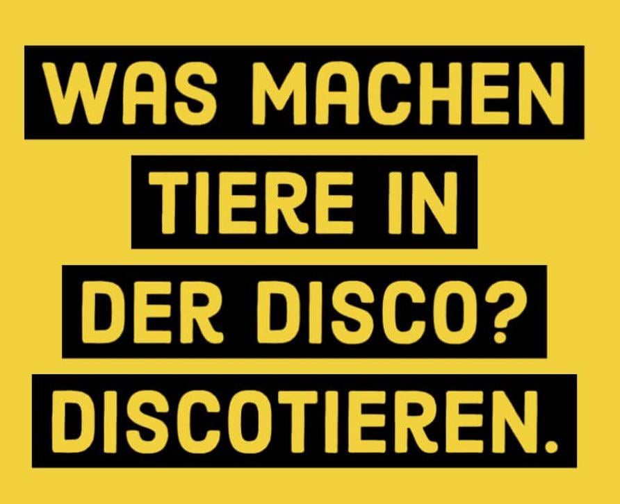Flach Witze