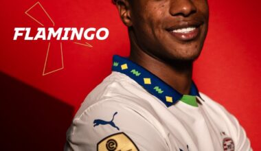 [PSV] officially announce the signing of Ryan Flamingo from FC Utrecht