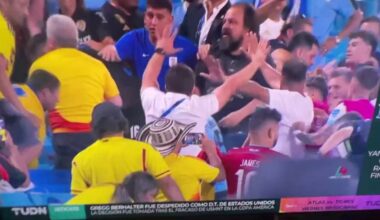Darwin Nunez in the stands fighting Colombian fans