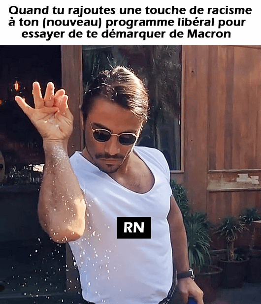 La parti anti-système se contorsionne pour rentrer dans le système