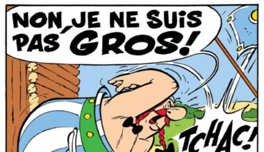 Le titre est trompeur.