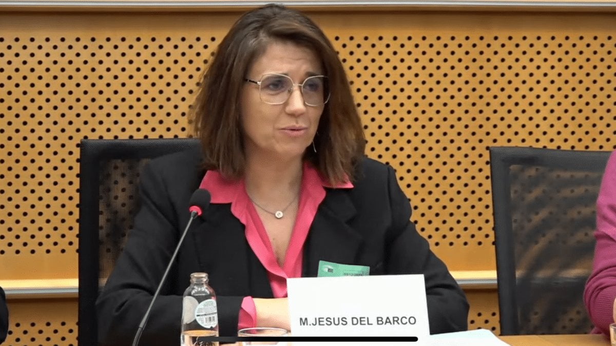 APM informa a la Comisión Europea del "ataque personal al juez" que instruye el 'caso Begoña Gómez'