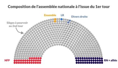 L' Assemblée Nationale aujourd'hui. Factuellement.