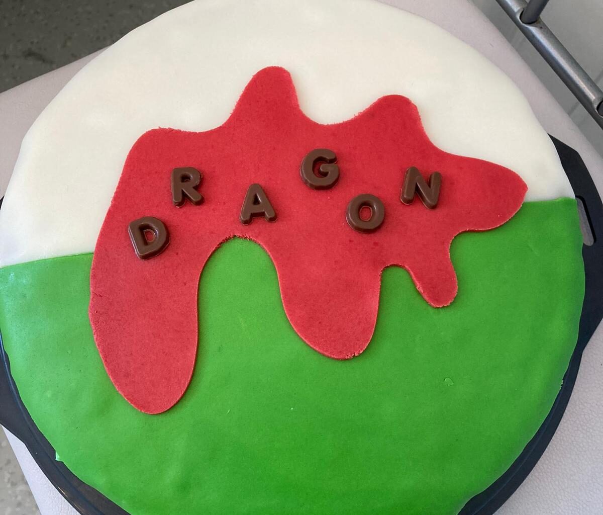 We're throwing a birthday party for a friend and we made him a cake. How do y'all like it?