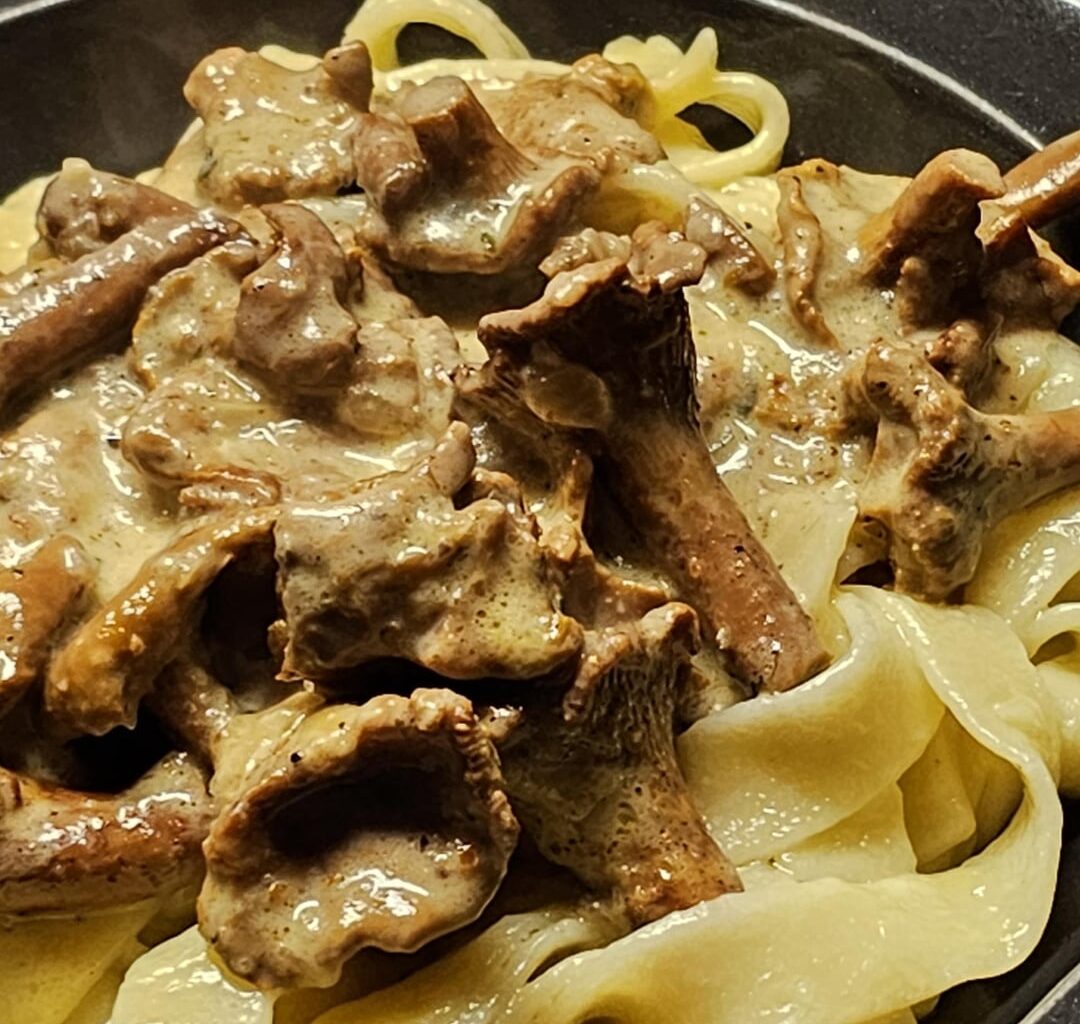 Chanterelles at a creamy sauce, with fettuccine