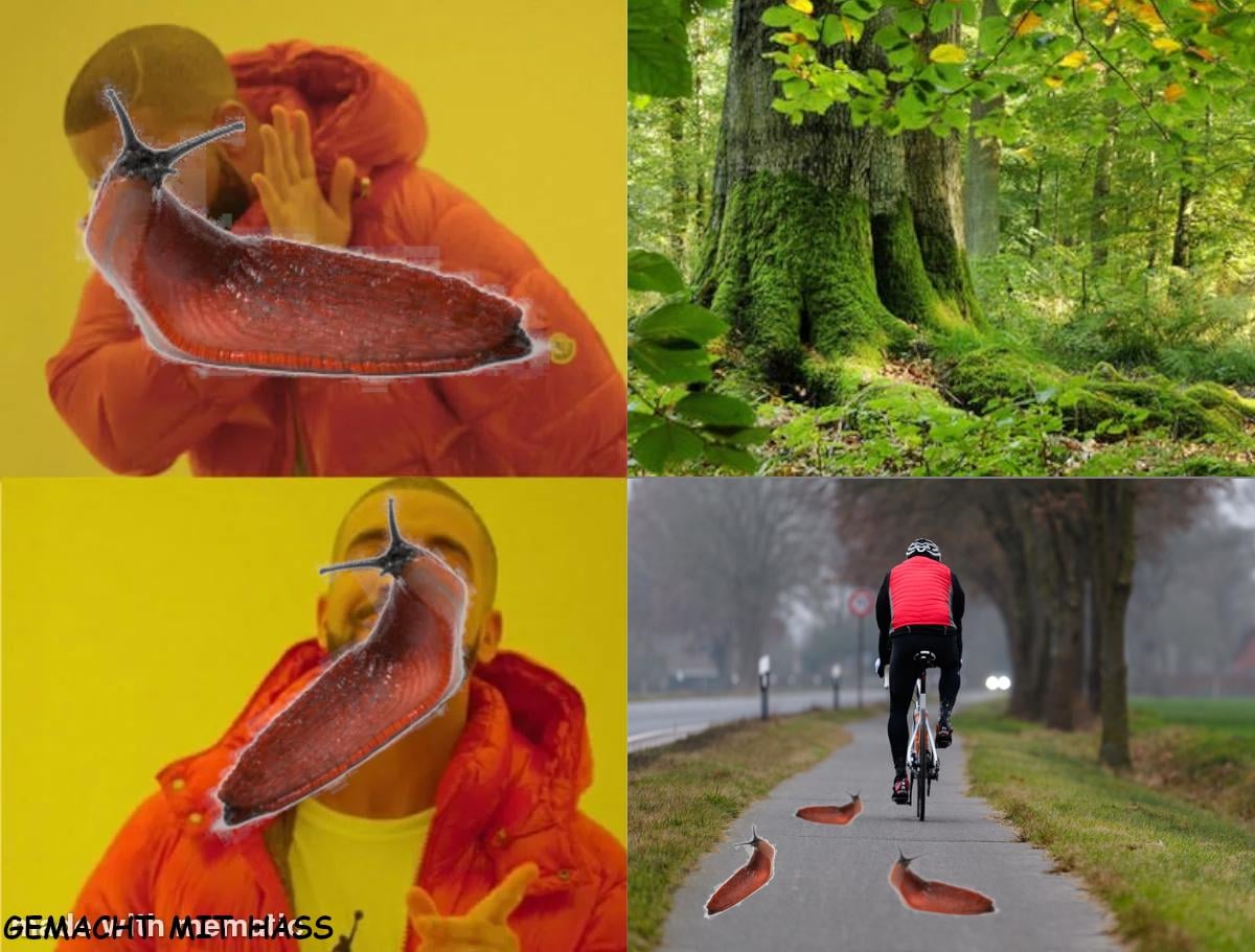 ich🐌iel