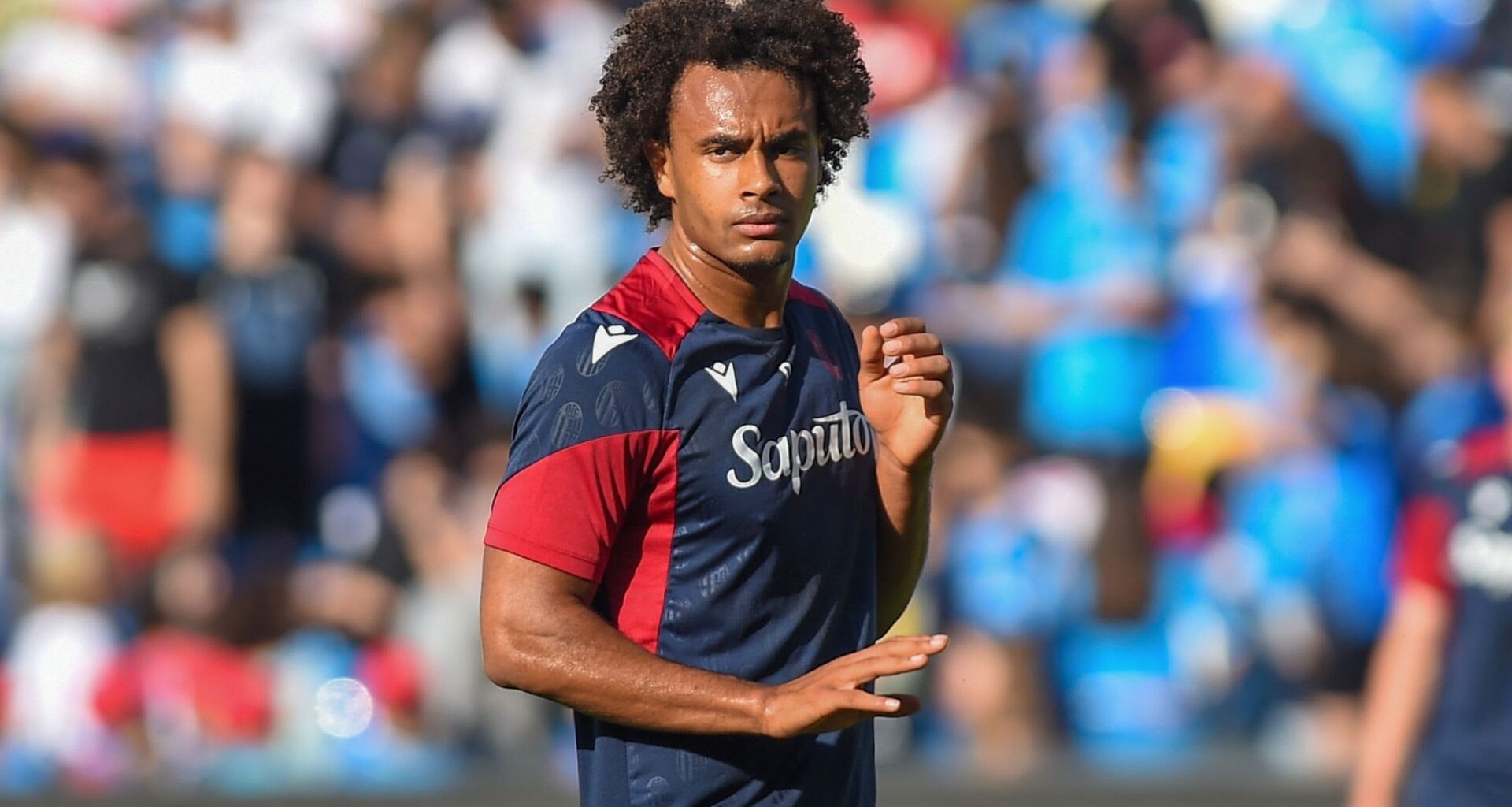 Bayern are being informed about the progress of negotiations between Manchester United and Bologna for Joshua Zirkzee. Bayern will receive €20m as soon as United trigger Zirkzee's €40m release clause thanks to a 50% sell-on clause negotiated by Hasan Salihamidžić in 2022