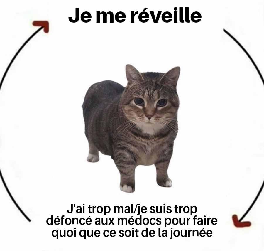 Est-ce que ça compte pour l'handi-moimoi ?