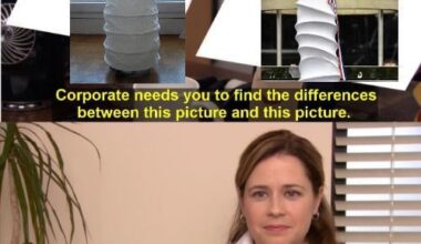 Je connais quelqu'un qui n'a pas de compte reddit