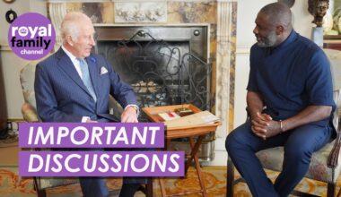 King Charles Reunites With Idris Elba to Discuss Youth Opportunities