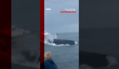 Moment whale capsizes fishing boat in the US. #Whale #US #BBCNews
