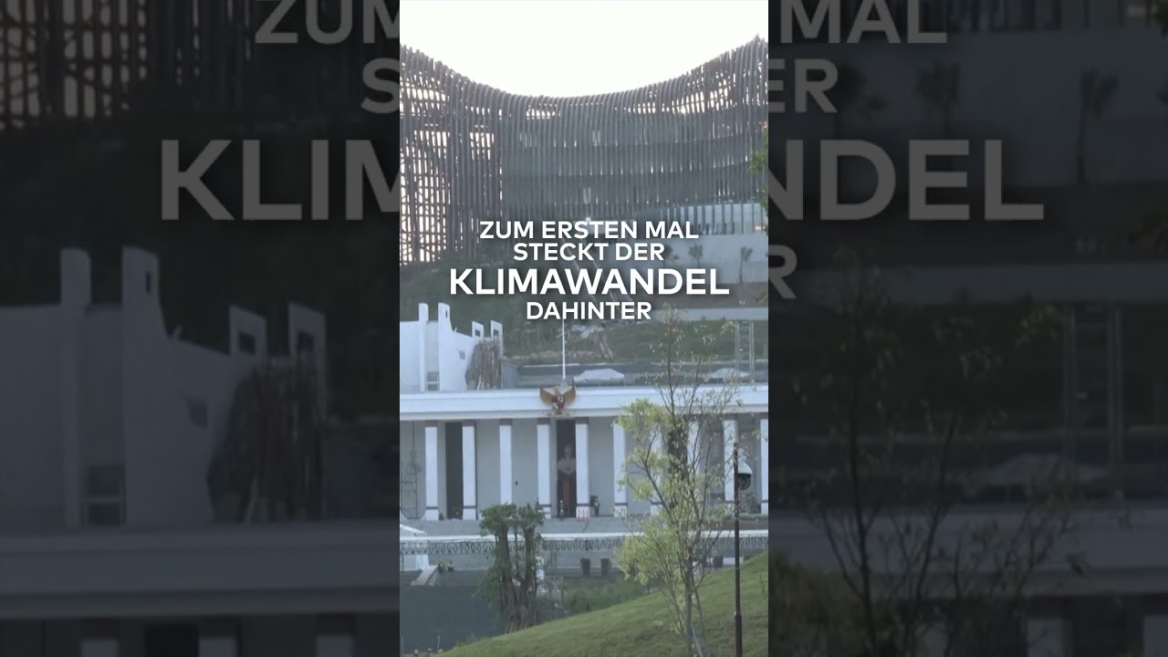 MEGA-BAUPROJEKT: Darum baut sich Indonesien eine neue Hauptstadt! | WELT #shorts