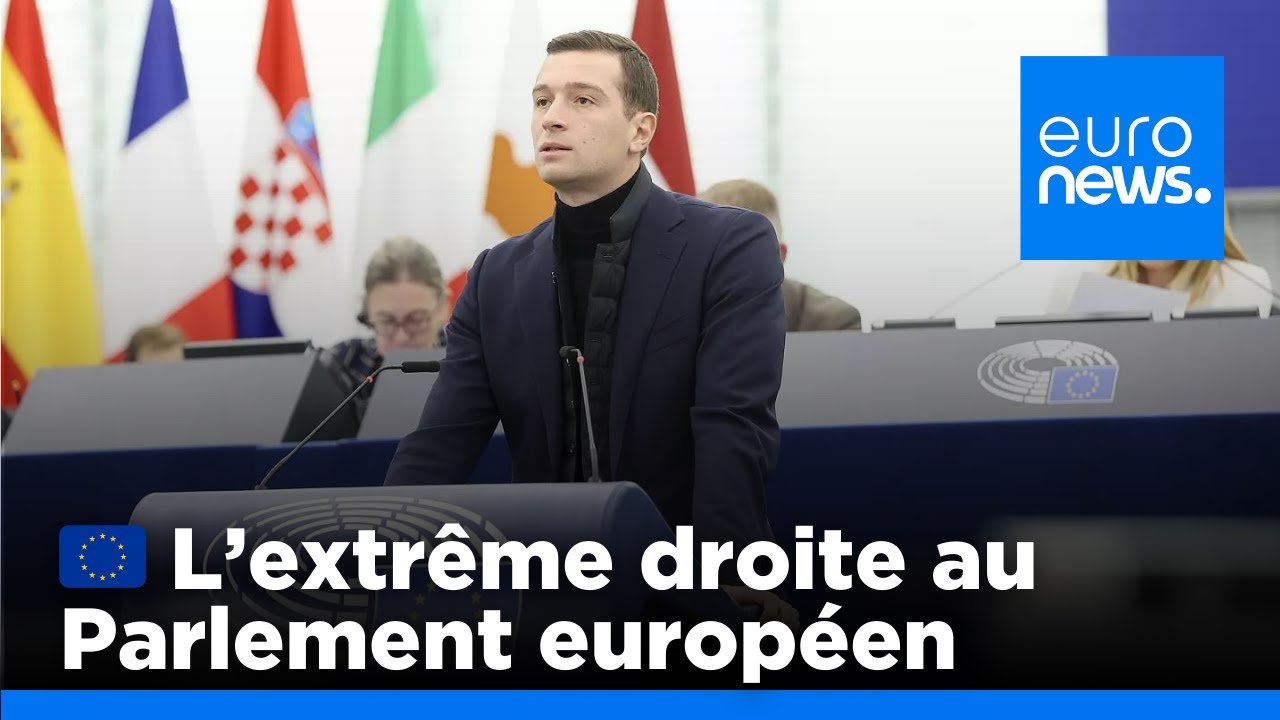 Le parti hongrois d'extrême droite devient la troisième force au Parlement européen | euronews 🇫🇷