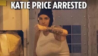 Katie Price arrested at Heathrow and pictured in police van after skipping court for facelift