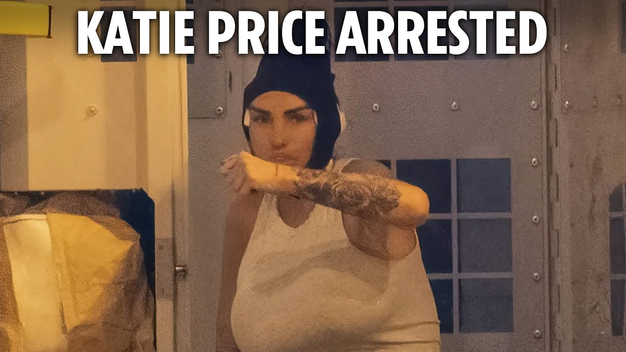 Katie Price arrested at Heathrow and pictured in police van after skipping court for facelift