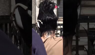Katie Price arrives at court in surgical bandages and sunglasses following airport arrest #shorts