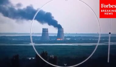 Fire At Russia-Controlled Ukraine-Based Nuclear Plant Started By Russian Forces: Zelensky