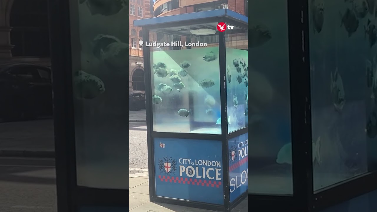 Suspected Banksy appears on police box #art #shorts