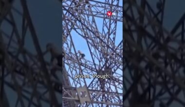 British man caught climbing Eiffel Tower #shorts