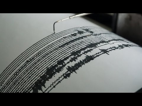 Séisme au Japon : toutes les alertes au tsunami ont été levées
