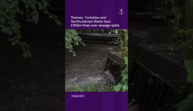 Thames, Yorkshire and Northumbrian Water face £168m fines over sewage spills