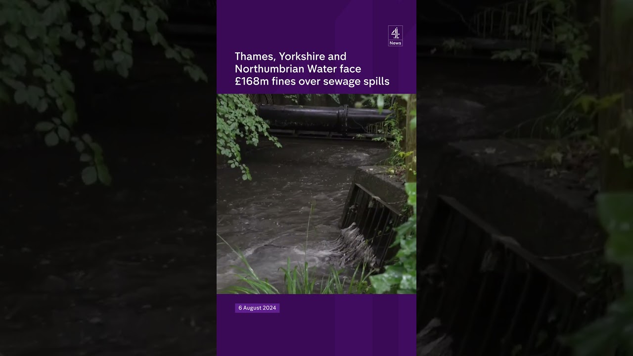 Thames, Yorkshire and Northumbrian Water face £168m fines over sewage spills