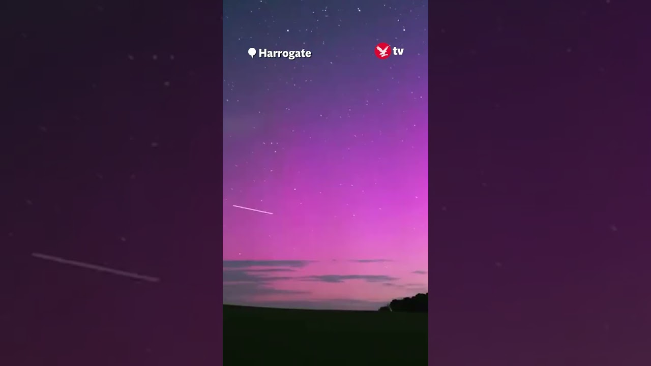 Timelapse of Perseid meteor shower and northern lights #news #shorts