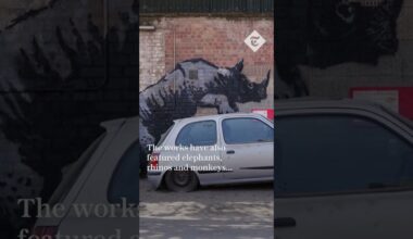 Banksy unveils final artwork in animal series at London Zoo