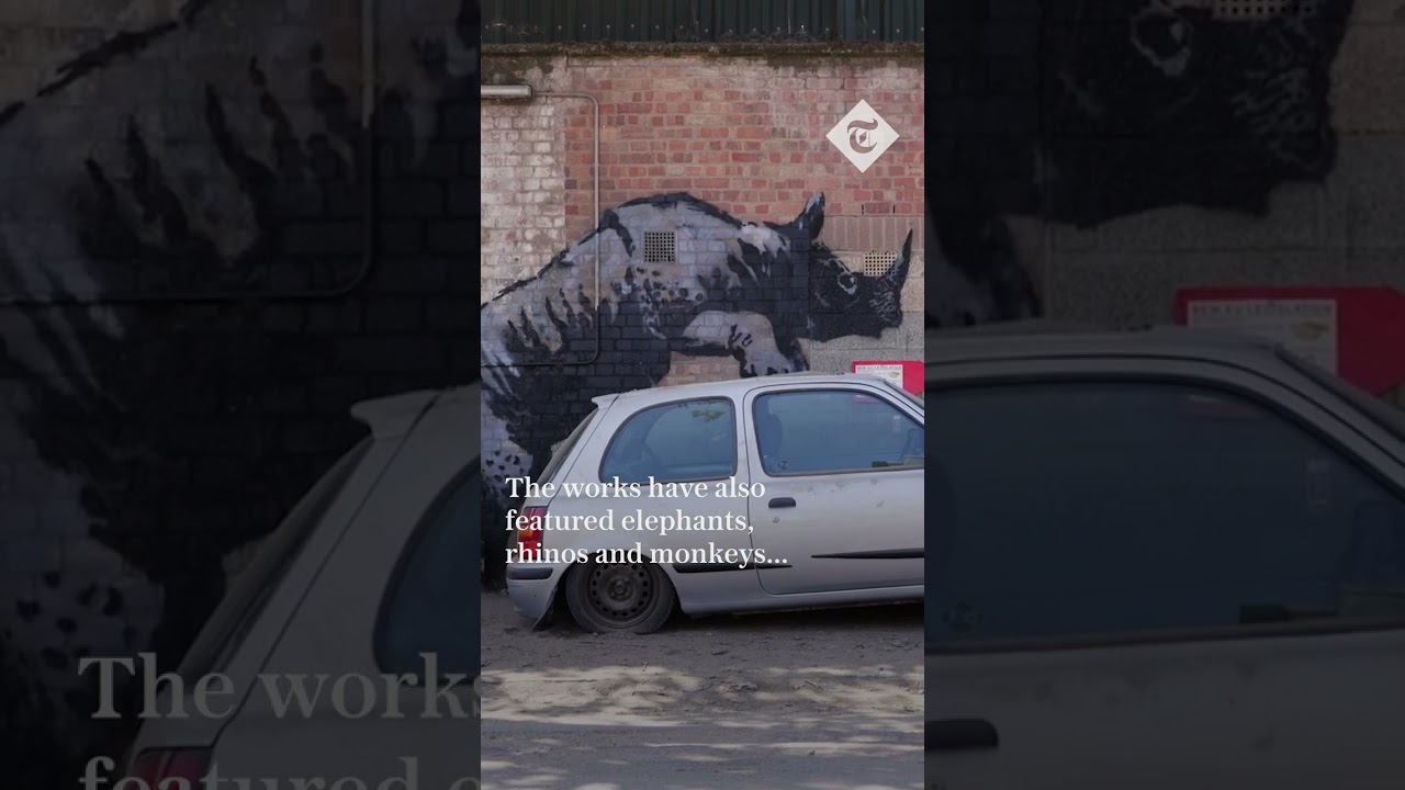 Banksy unveils final artwork in animal series at London Zoo
