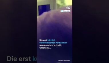 Überwachungsvideo: Hund kaut auf Powerbank und verursacht Brand | DW Nachrichten