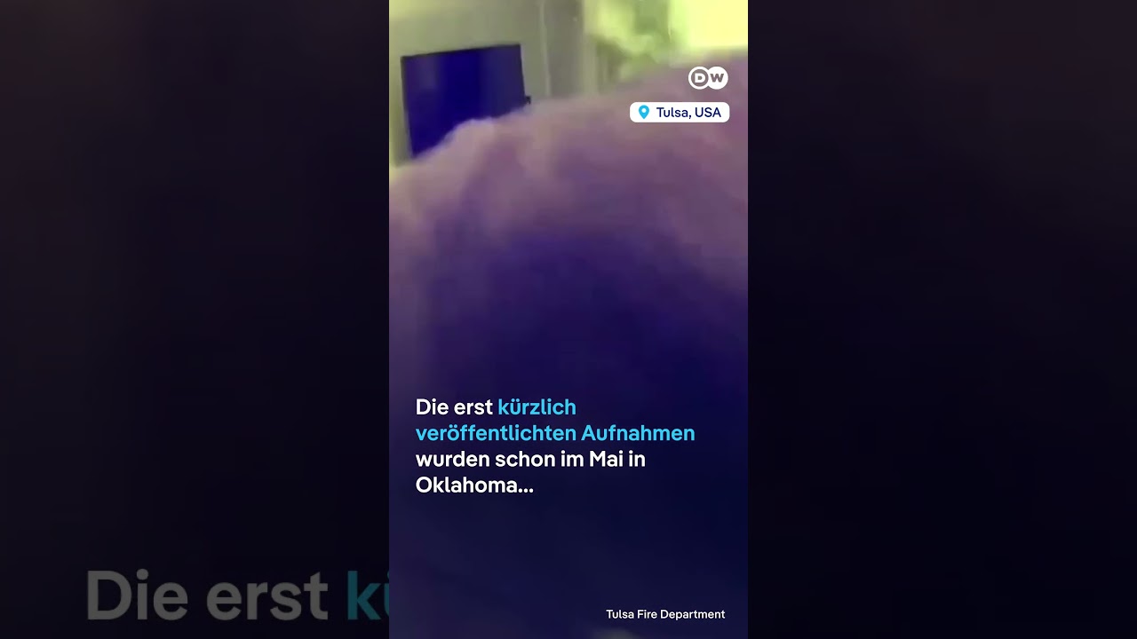 Überwachungsvideo: Hund kaut auf Powerbank und verursacht Brand | DW Nachrichten