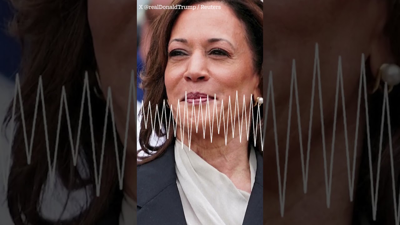 'This was a coup', Trump tells Musk on Harris replacing Biden in US presidential race