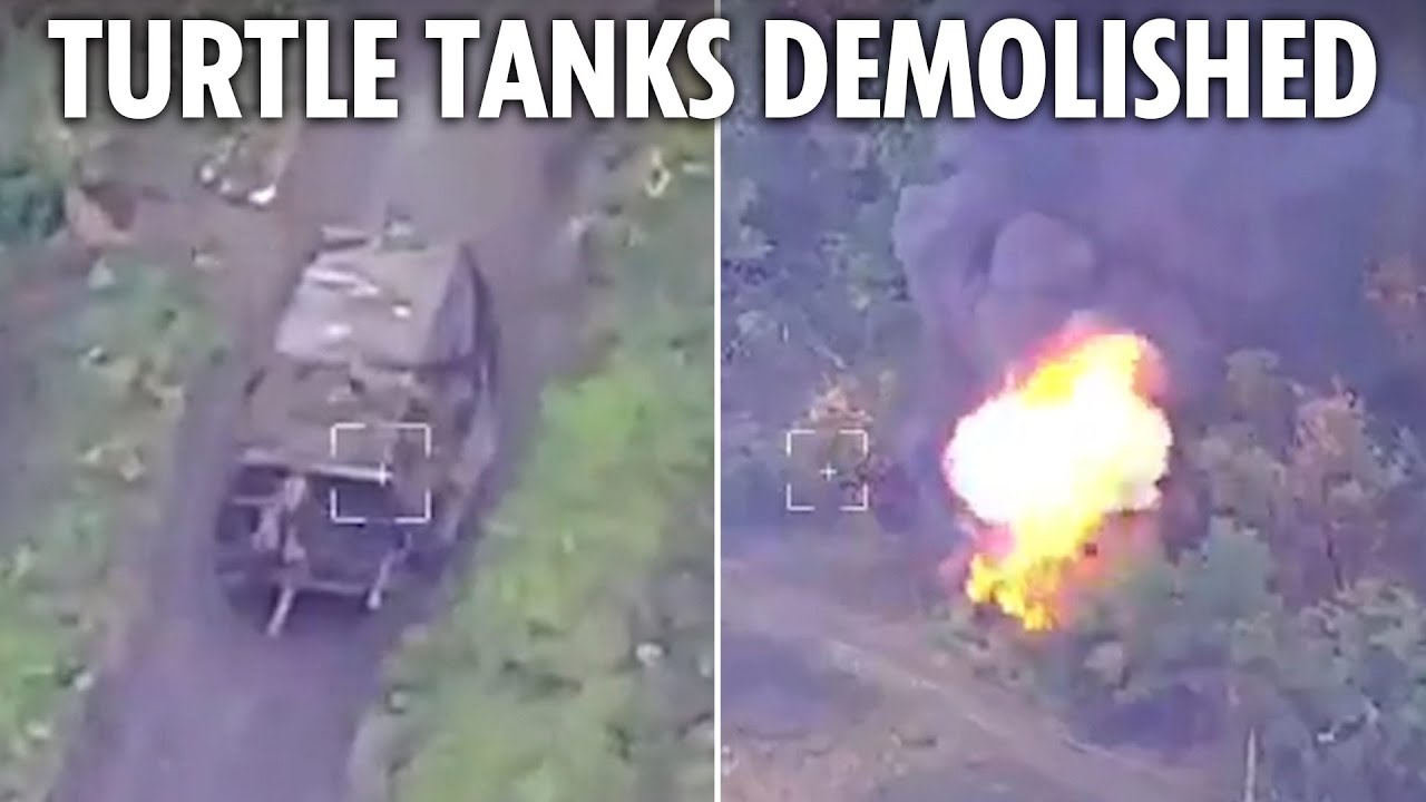 Putin's ‘turtle tanks’ are wiped out by Ukraine as Russia fails to hit back after invasion
