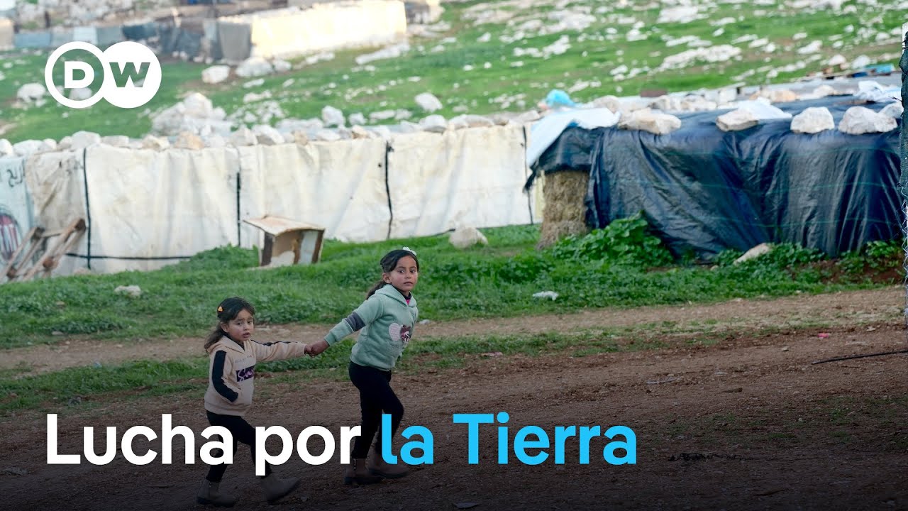 Espiral de violencia en Cisjordania | DW Documental