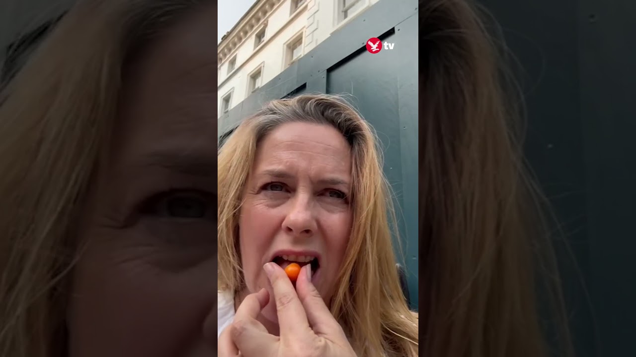 'Clueless' actor Alicia Silverstone films herself eating poisonous berry #shorts