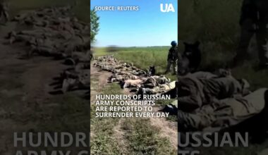Russian Flags Put Down, Conscripts Surrender in Kursk Region #kursk #ukraine #offensive