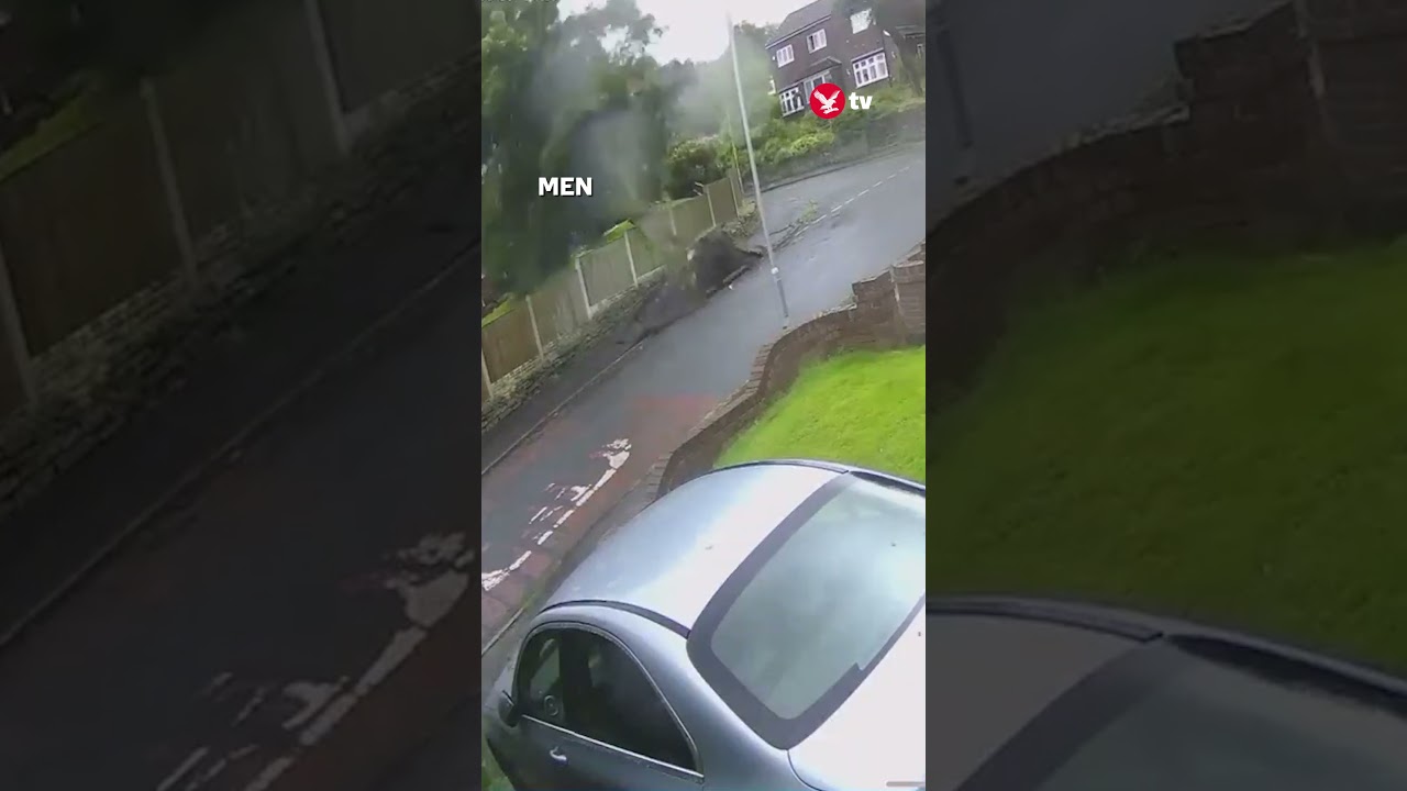 Storm Lilian: Huge tree falls on house 🏡 #weather #shorts