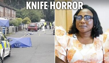 Screaming mum begged 'help me' before being knifed to death in triple stabbing