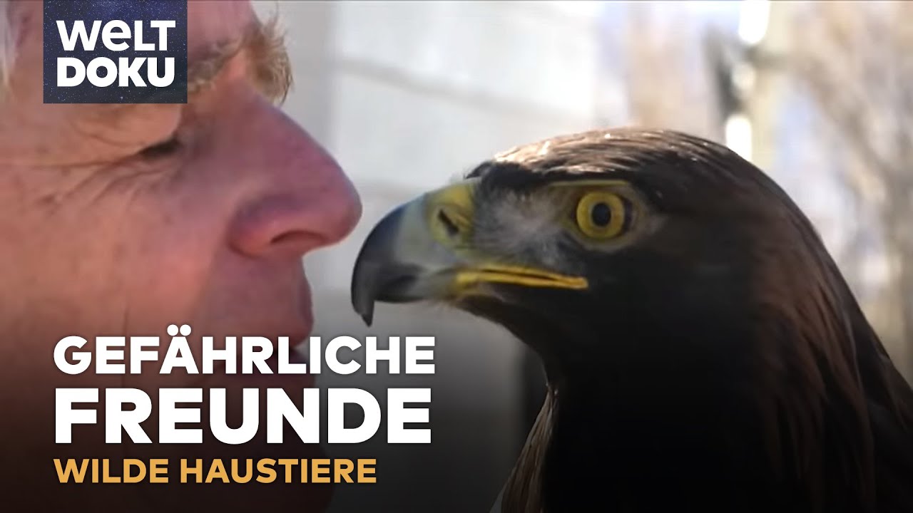 Exotische Haustiere: Diese Menschen leben mit wilden Tieren! - Ein Steinadler als besten Freund?