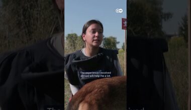 How a UN project with sniffer dogs helps Ukraine cleaning its mine-infested territory | DW News
