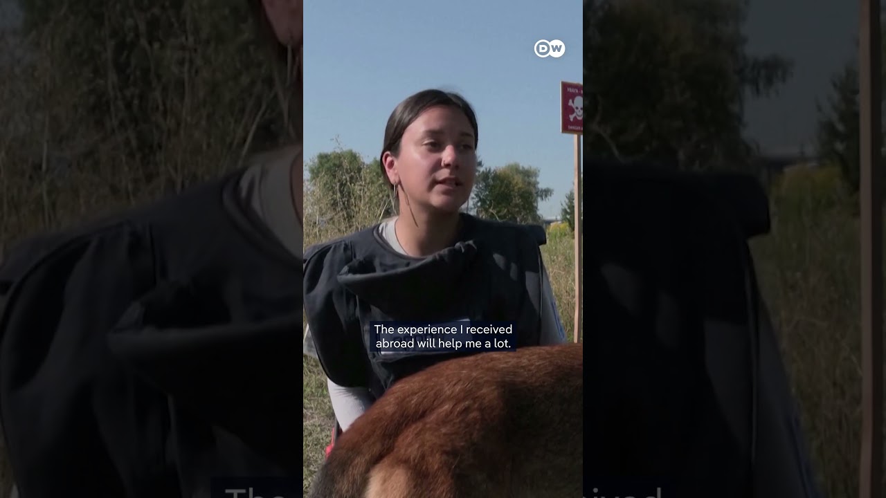 How a UN project with sniffer dogs helps Ukraine cleaning its mine-infested territory | DW News