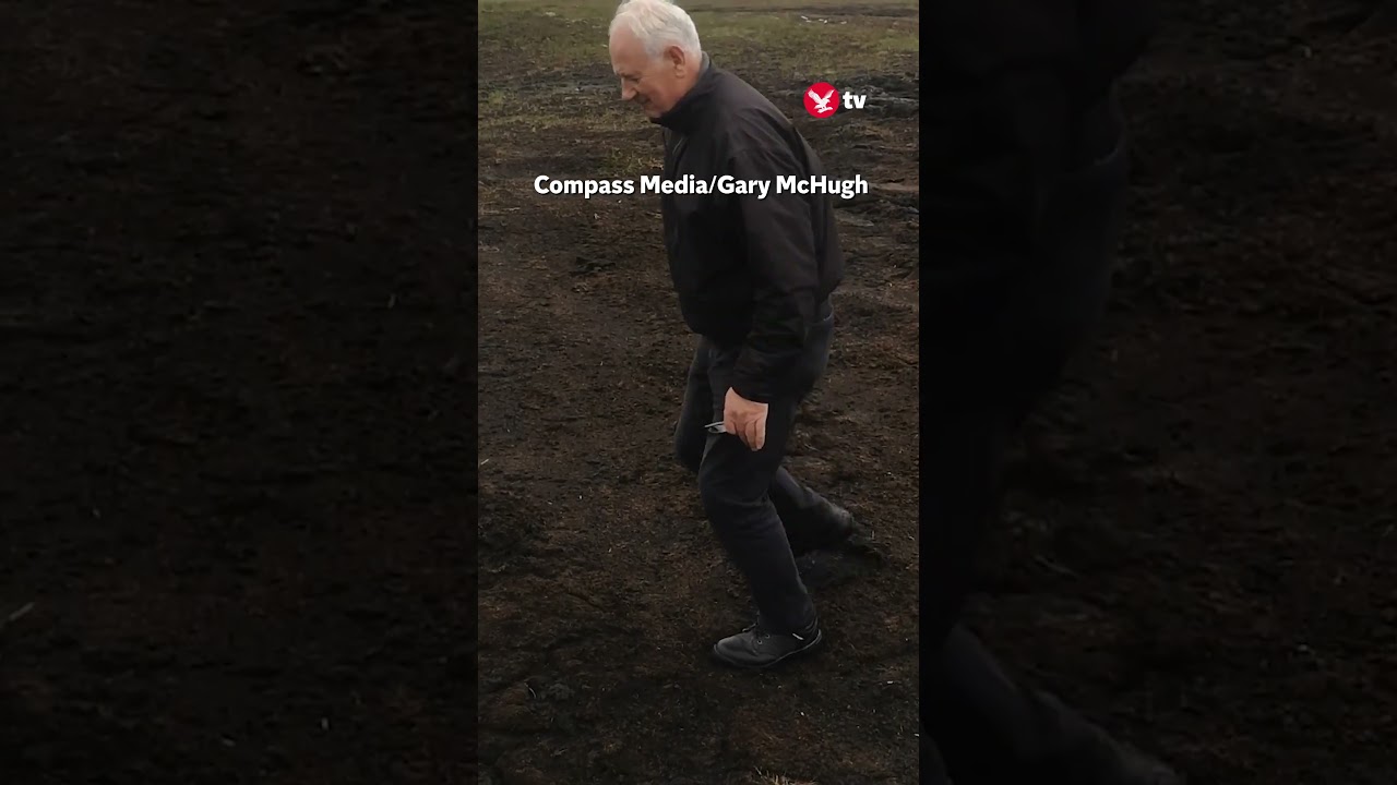 Father bounces on 'sponge cake' bog #shorts #fun