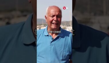 Dead fish blanket covers Greek tourist hotspot #shorts #fish