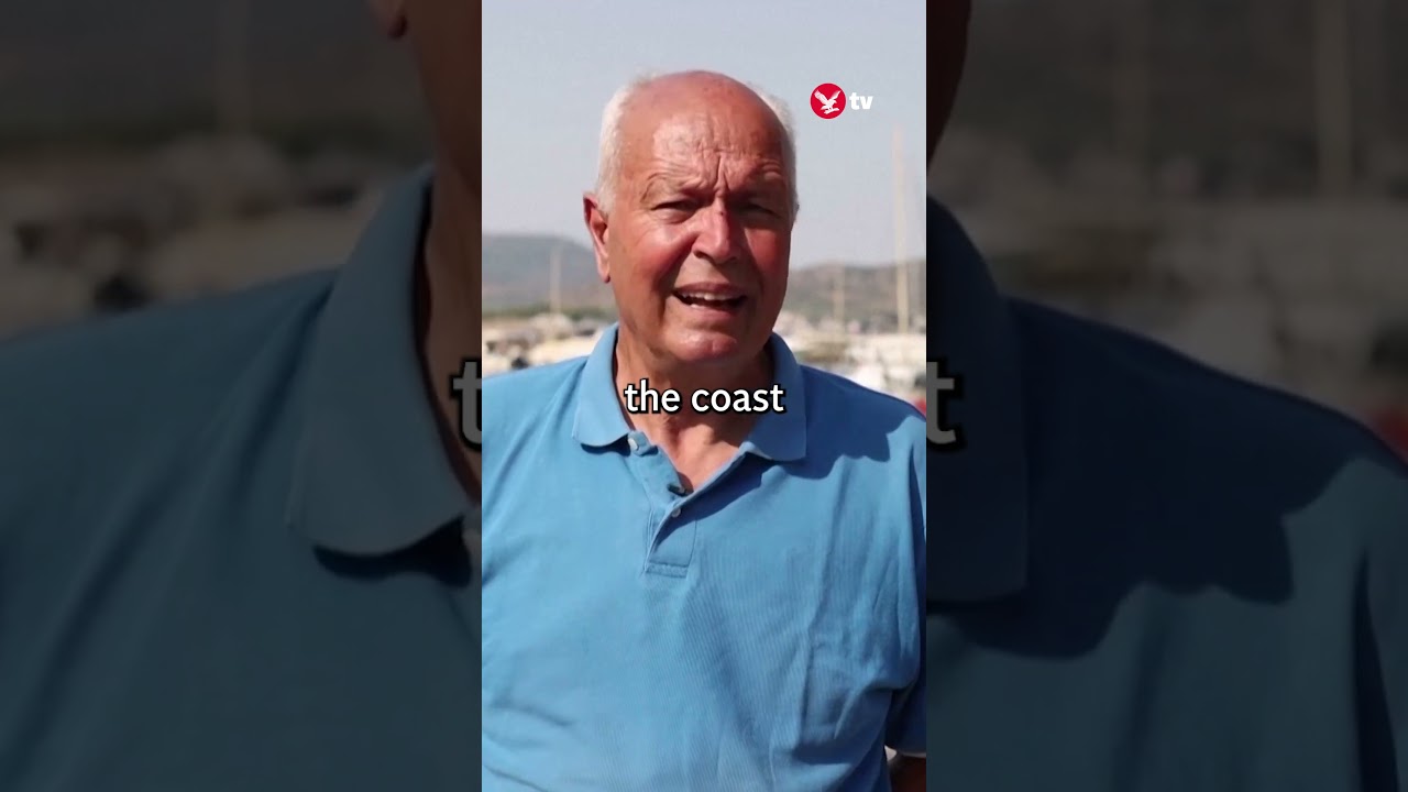 Dead fish blanket covers Greek tourist hotspot #shorts #fish