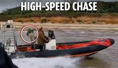 Dramatic moment drug smugglers leap from boat after being caught with £37m of coke by Border Force