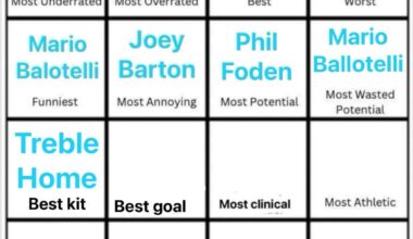 Cast your vote (day 10) : best quality goal (not by importance)