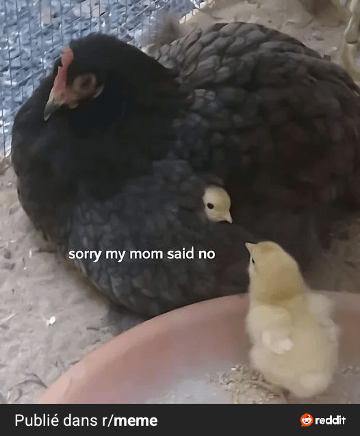 Hhhhhhh