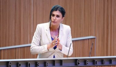 Montaner diu que si guanya el 'no' al referèndum s'han de convocar eleccions