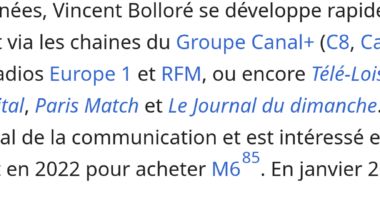Le milliardaire Vincent Bolloré détient C8, Canal +, C News, CStar, Europe 1, RFM Radio, Télé-Loisirs, Geo, Gala, Voici, Femme Actuelle, Capital, Paris Match et le Journal du Dimanche