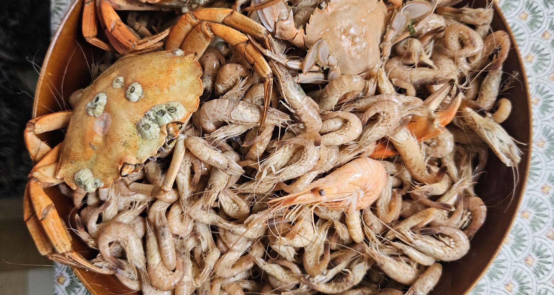 Some sea-snacks